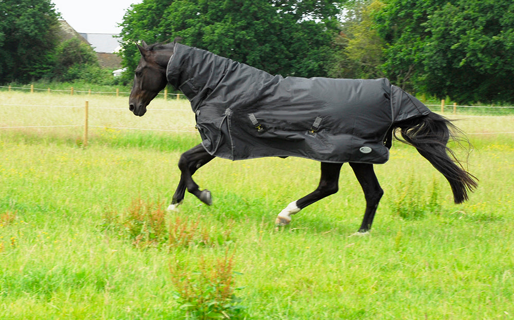 Rhinegold Full Neck Konig Outdoor Rug Black