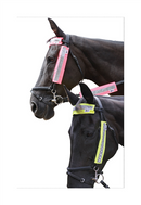 HyVIZ Bridle Set - Yellow