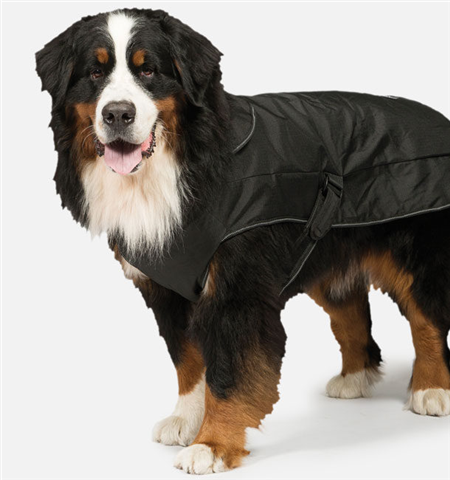 Danish Desgin 2 In 1 Harness Dog Coat - Black