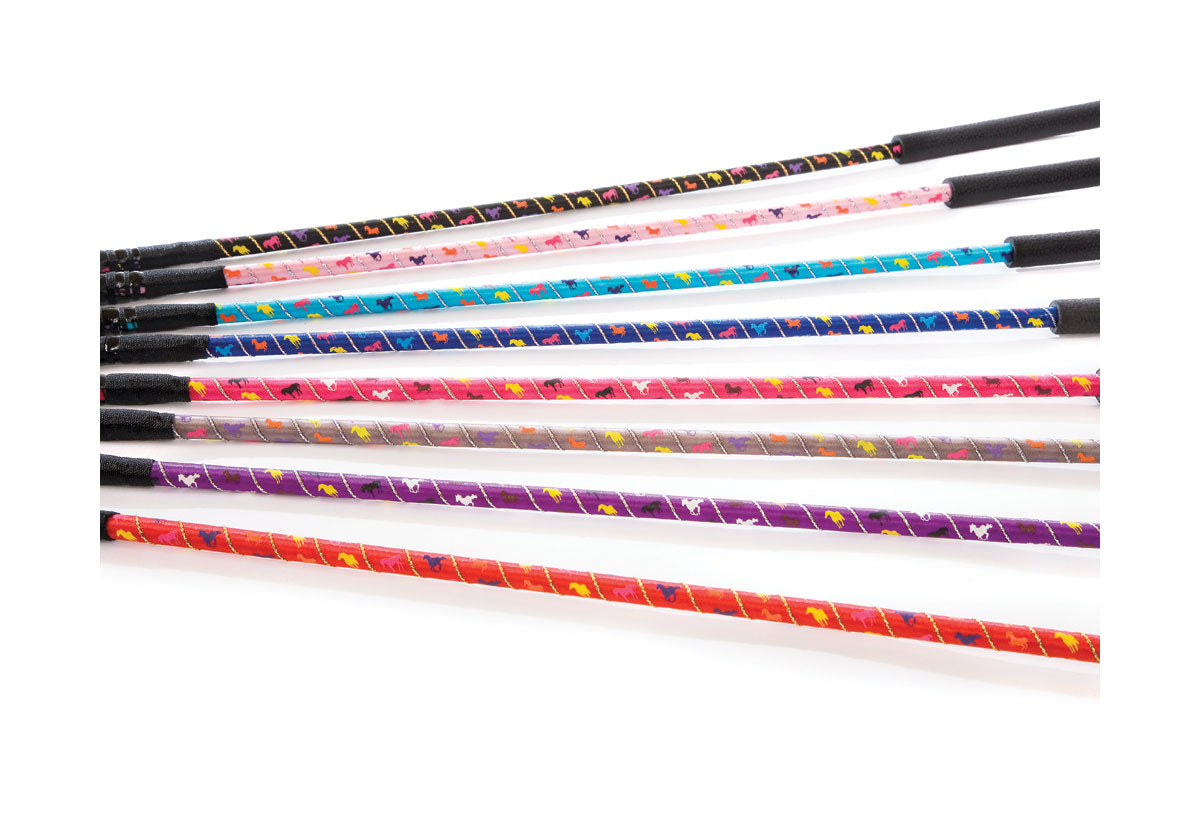 HySCHOOL Silver Riding Whip