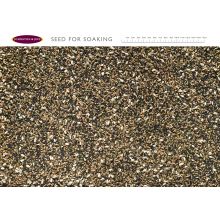 Johnson & Jeff Seed For Soaking 12.5kg