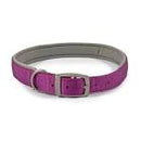 Ancol Viva Padded Nylon Collar Purple