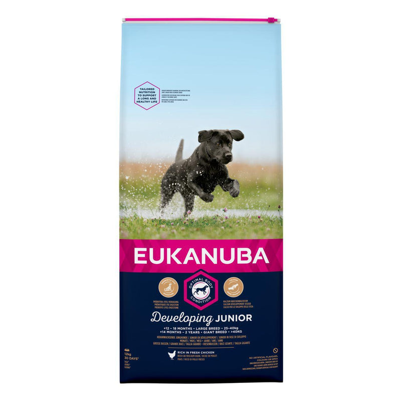 Eukanuba Developing Junior Large Breed 12kg