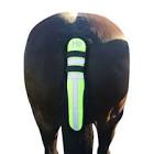 Hy Reflective Tail Guard