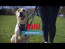 Halti No Pull Harness