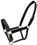 Kendell Leather Headcollar