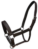 Kendell Leather Headcollar